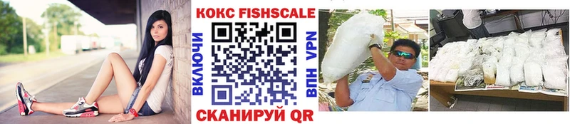 Купить закладки  Орехово-Зуево  Кокаин Эквадор 