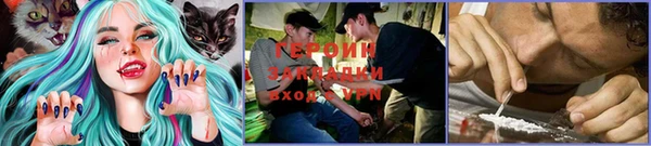 ГАЛЛЮЦИНОГЕННЫЕ ГРИБЫ Елабуга