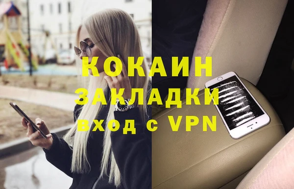 крисы Ельня