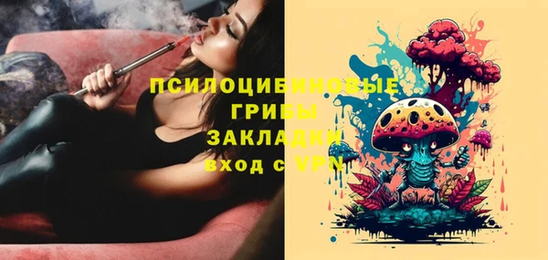 крисы Ельня