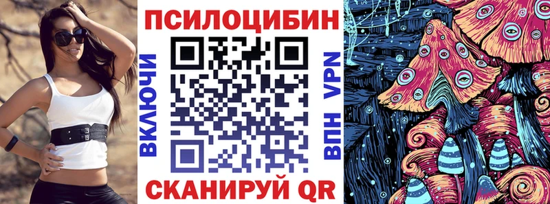 Купить  Орехово-Зуево  Галлюциногенные грибы MAGIC MUSHROOMS 